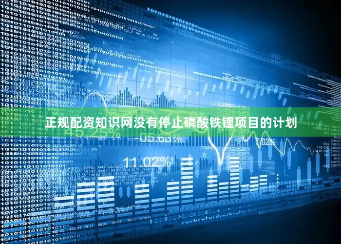 正规配资知识网没有停止磷酸铁锂项目的计划