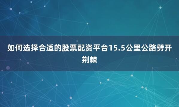 如何选择合适的股票配资平台15.5公里公路劈开荆棘